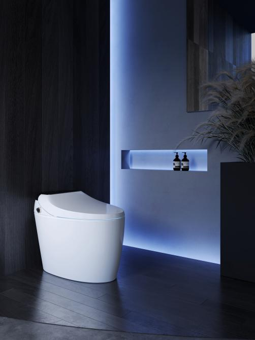 國產(chǎn)智能馬桶品牌推薦 國產(chǎn)智能馬桶品牌推薦